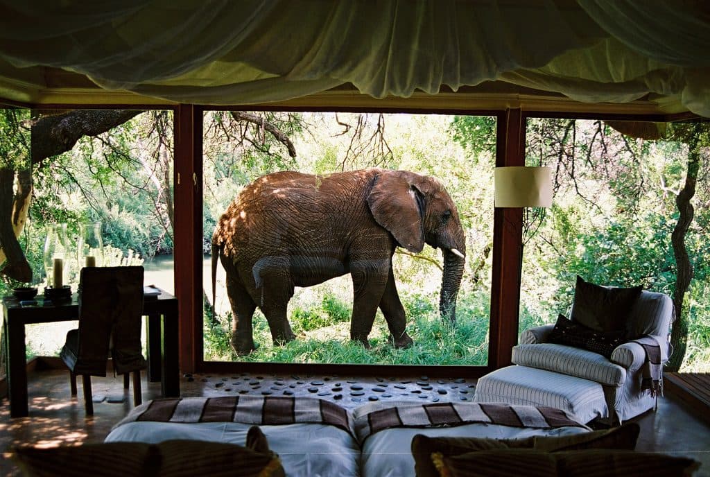 Madikwe Game Reserve